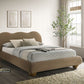 Finamore Contemporary Velvet Platform Bed Frame