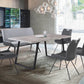CORONADO Contemporary Dining Chair Set of 2