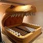 Dinosaur Bed - Roaring Dreams Collection