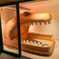 Dinosaur Bed - Roaring Dreams Collection