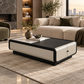 Fabriano Storage Coffee Table