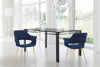 Gigi Velvet Dining Chair Set of 2