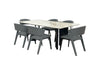 Ametryn Dining Table
