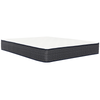 Lavii Polar 10 in Mattress