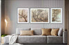 Serene Branches Wall Art Set