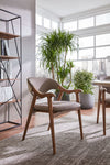 Modern Curve Dining Chair