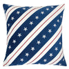 Washton 2PC Pillow