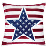 Texas 2PC Pillow