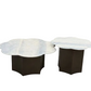 Petal Marble Coffee Table Set