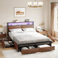 Rustic Horizon Storage Bed