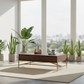 Ancient City Coffee Table