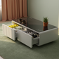 Artificial Intelligence Smart Coffee Table V2