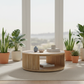 Distant Mountain Coffee Table