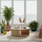 Distant Mountain Coffee Table