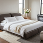 Elephant Ear Bed Lifestyle 2
