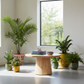 Forest Shadow Coffee Table