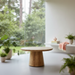 Forest Shadow Coffee Table