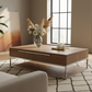Heart of the Desert Coffee Table Lifestyle 1