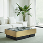 Isidore Marble Rectangle Coffee Table