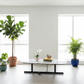 Lovina White Coffee Table