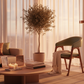 Lume Dining Chair - Lifestyle 3