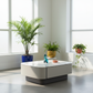 Marble Aura Coffee Table