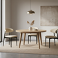 Minimal Curve Dining Chair 