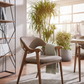 Modern Curve Dining Chair - Lifestyle 1