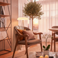Modern Curve Dining Chair - Lifestyle 3