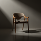 Modern Curve Dining Chair