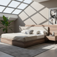 Modern Walnut Harmony Bed - Architectural Skylight