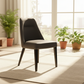 Opal Grace Chair – Plants & Window