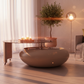Pebble Smoked Glass Coffee Table - Lifestyle 3
