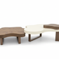 Petal Harmony Coffee & Side Table 