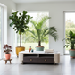 Spheria Luxe Coffee Table