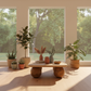 Sunset Glow Coffee Table