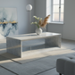 Trillium Marble Rectangle Coffee Table Lifestyle 2