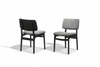 Two Dining Chairs Resized