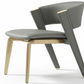 Valen Gold Dining Chair - 强对比光影
