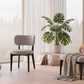 Vance Modern Dining Chair - Lifestyle 1